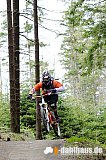 Willingen freeride