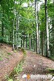 Vogtland Panorama Weg - 09