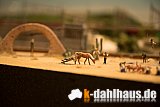 BO030 - Miniaturwunderland